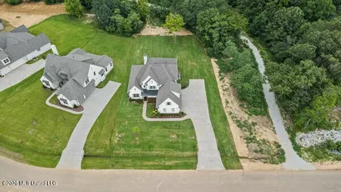 View/Area - 348 Oakworth Dr, Hernando, MS 38632 photo 2 of 2