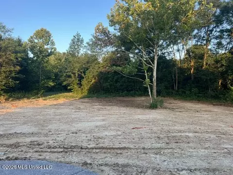 Other - 348 Oakworth Dr, Hernando, MS 38632 photo 9 of 9