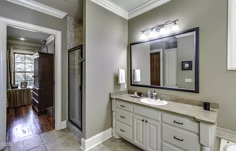 Bath - 115 Chartres Dr, Madison, MS 39110 photo 1 of 8