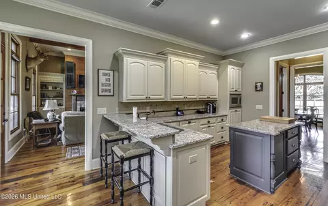 Kitchen - 115 Chartres Dr, Madison, MS 39110 photo 7 of 7