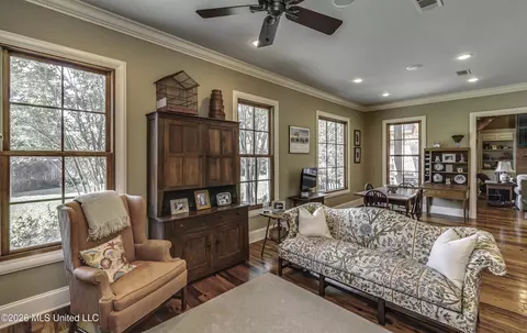 Living - 115 Chartres Dr, Madison, MS 39110 photo 7 of 7