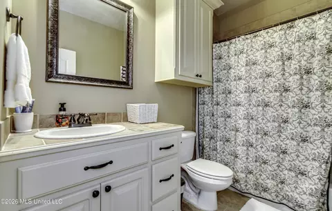 Bath - 115 Chartres Dr, Madison, MS 39110 photo 8 of 8