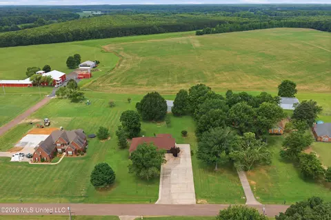 View/Area - 4165 Green Hill Dr, Hernando, MS 38632 photo 4 of 7