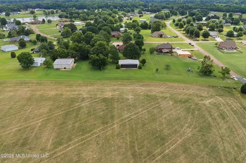 View/Area - 4165 Green Hill Dr, Hernando, MS 38632 photo 3 of 7