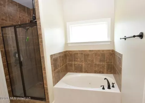 Bath - 4713 Bakersfield Dr, Nesbit, MS 38651 photo 2 of 2