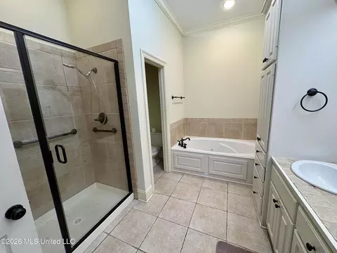 Bath - 3920 Roxbury Rd, Jackson, MS 39211 photo 7 of 7