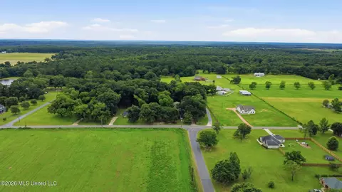 View/Area - 1230 Weeks Rd, Lucedale, MS 39452 photo 10 of 13