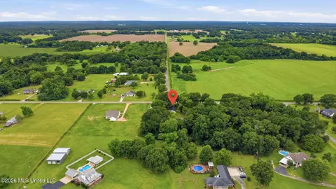 View/Area - 1230 Weeks Rd, Lucedale, MS 39452 photo 11 of 13