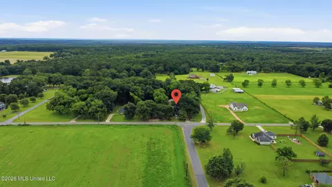 View/Area - 1230 Weeks Rd, Lucedale, MS 39452 photo 13 of 13