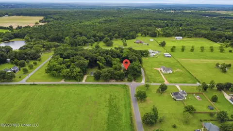 View/Area - 1230 Weeks Rd, Lucedale, MS 39452 photo 9 of 13