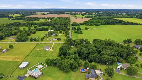 View/Area - 1230 Weeks Rd, Lucedale, MS 39452 photo 4 of 13