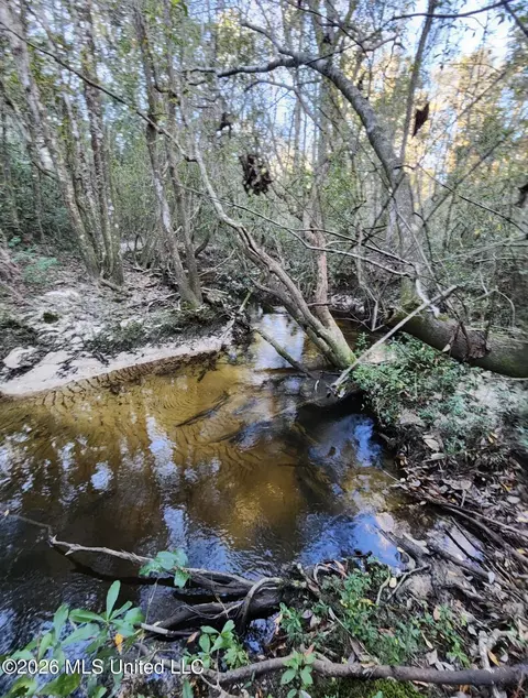 Other - 2151 Sally Parker Rd, Lucedale, MS 39452 photo 7 of 9