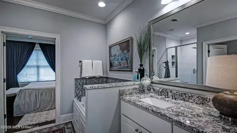Bath - 46 Charleston Cir, Brandon, MS 39047 photo 5 of 5