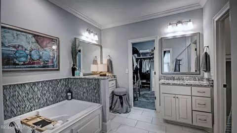 Bath - 46 Charleston Cir, Brandon, MS 39047 photo 3 of 5