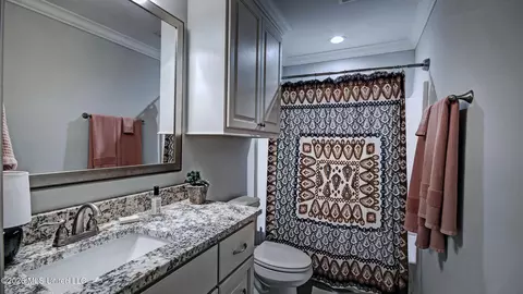 Bath - 46 Charleston Cir, Brandon, MS 39047 photo 2 of 5