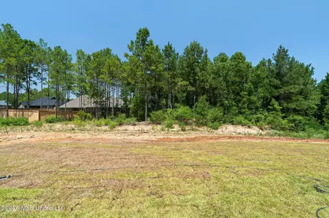Exterior - 21 Redmont Dr, Sumrall, MS 39482 photo 10 of 11