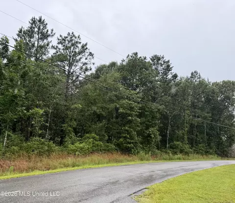 S Highlands Drive, Poplarville, MS 39470