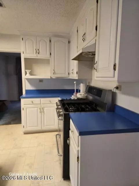 Kitchen - 1051 Briarwood Dr, Lorman, MS 39096 photo 2 of 3