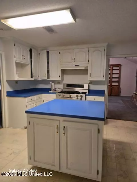 Kitchen - 1051 Briarwood Dr, Lorman, MS 39096 photo 1 of 3