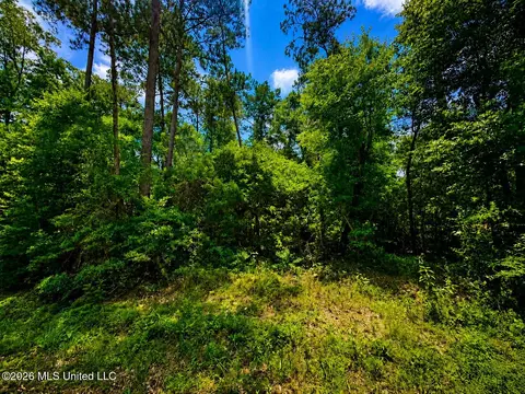 8 2 Acres Breland Rd, Mclain, MS 39456 photo 3