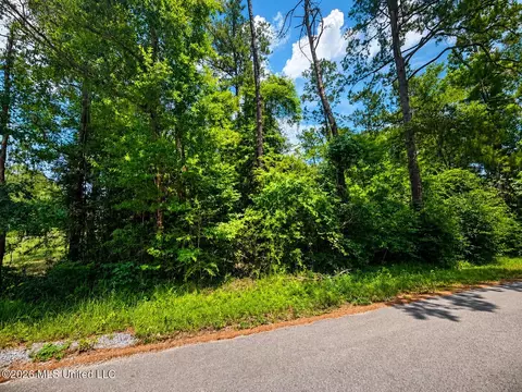 8 2 Acres Breland Rd, Mclain, MS 39456 photo 6