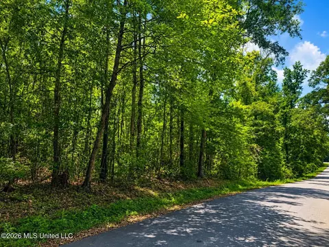 8 2 Acres Breland Rd, Mclain, MS 39456 photo 9