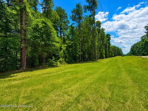 8 2 Acres Breland Rd, Mclain, MS 39456 photo 7