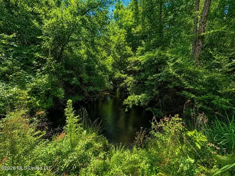 8 2 Acres Breland Rd, Mclain, MS 39456