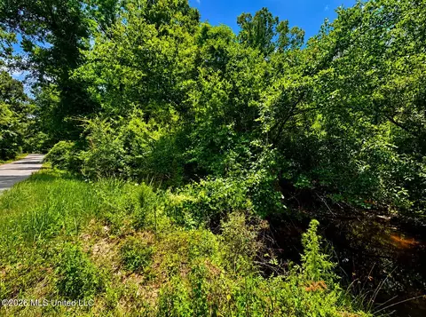 8 2 Acres Breland Rd, Mclain, MS 39456 photo 5