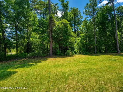 8 2 Acres Breland Rd, Mclain, MS 39456 photo 2