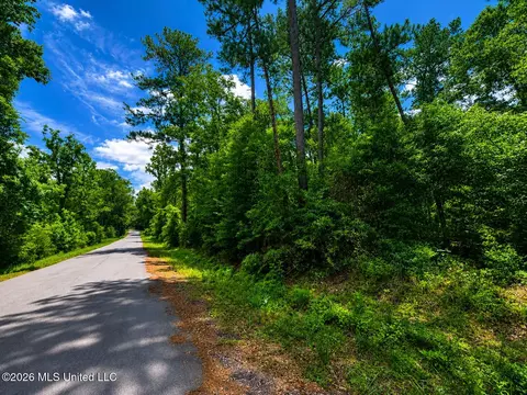 8 2 Acres Breland Rd, Mclain, MS 39456 photo 8