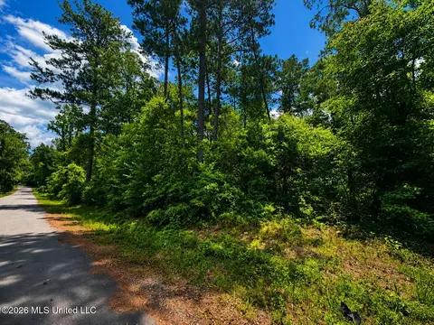 8 2 Acres Breland Rd, Mclain, MS 39456 photo 4