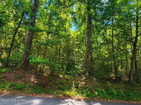 8 2 Acres Breland Rd, Mclain, MS 39456 photo 10