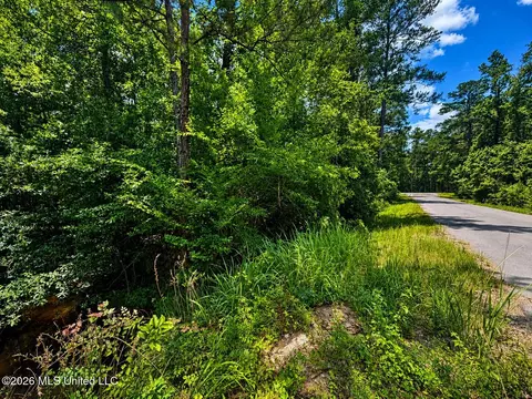 8 2 Acres Breland Rd, Mclain, MS 39456 photo 11