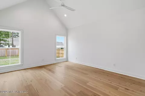 Other - 386 Wellstone Pl, Madison, MS 39110 photo 7 of 11