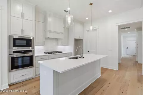 Entry Way - 386 Wellstone Pl, Madison, MS 39110 photo 1 of 3
