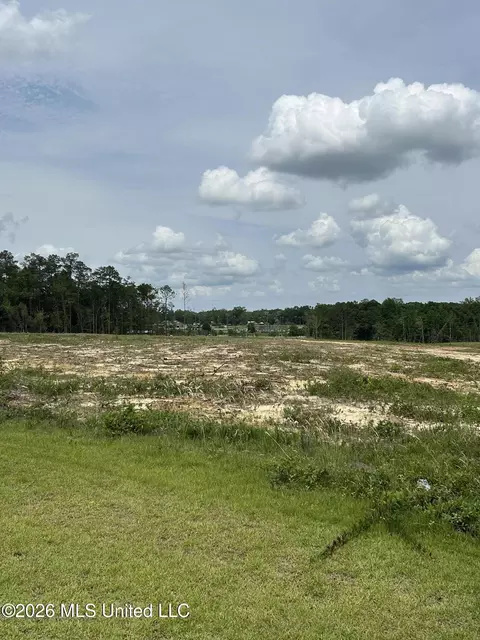 Old Highway 63, Lucedale, MS 39452