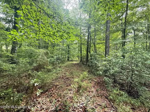 3042 Brandi Rd, Summit, MS 39666 photo 2