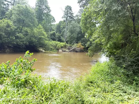 3042 Brandi Rd, Summit, MS 39666 photo 4