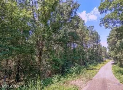 Nhn NW Neil Lambert Road, Jayess, MS 39641