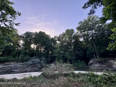 Ms-553, Fayette, MS 39069 photo 26