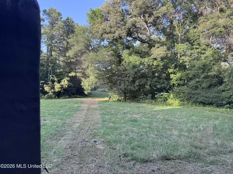 Ms-553, Fayette, MS 39069 photo 5