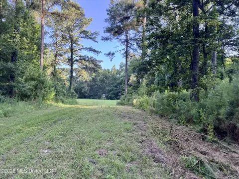 Ms-553, Fayette, MS 39069 photo 11