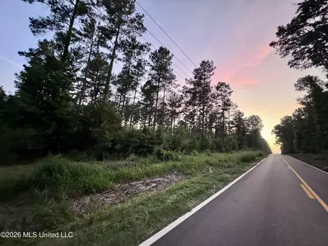 Ms-553, Fayette, MS 39069 photo 21