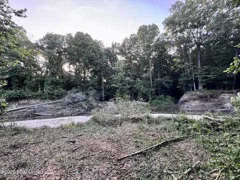 Ms-553, Fayette, MS 39069 photo 27