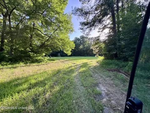 Ms-553, Fayette, MS 39069 photo 6