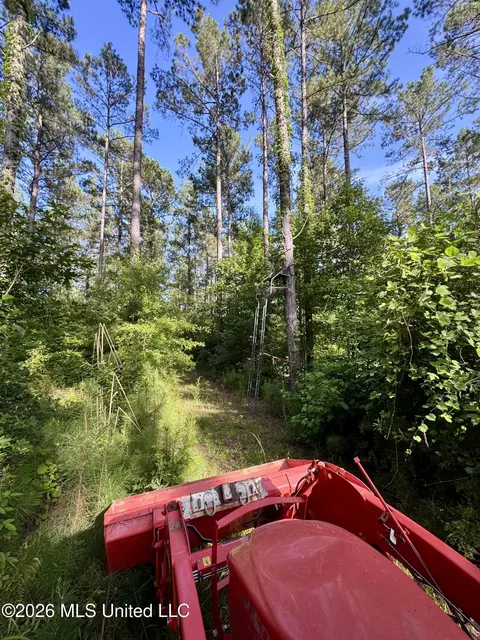 Ms-553, Fayette, MS 39069 photo 17