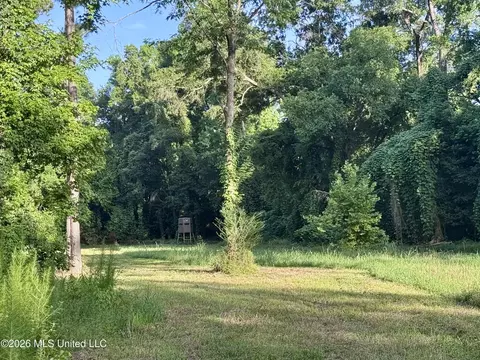 Ms-553, Fayette, MS 39069 photo 9