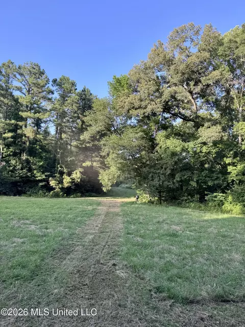 Ms-553, Fayette, MS 39069 photo 16