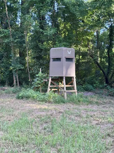 Ms-553, Fayette, MS 39069 photo 8